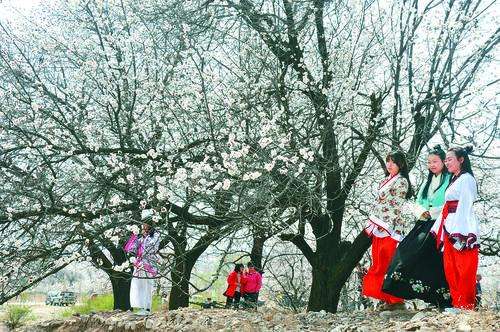 篮球比分手机版实时数据